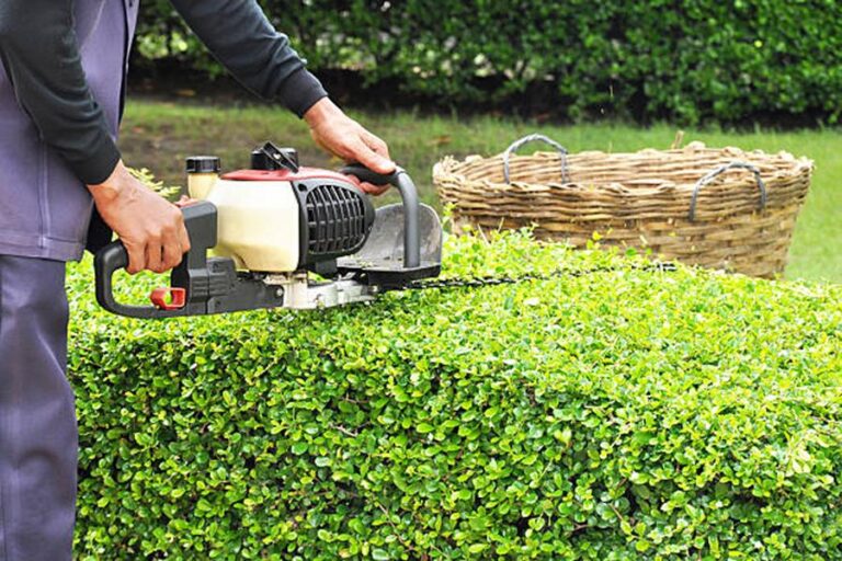 Gardener trimming green bush with trimmer machine